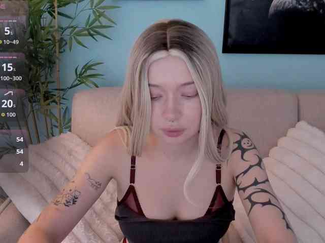 DragonFlya webcam