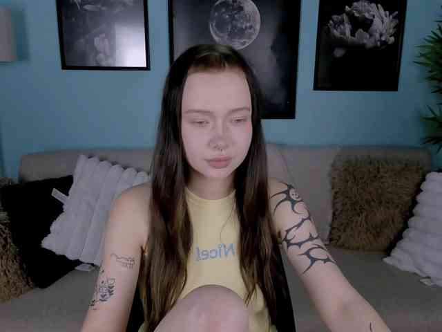 DragonFlya webcam