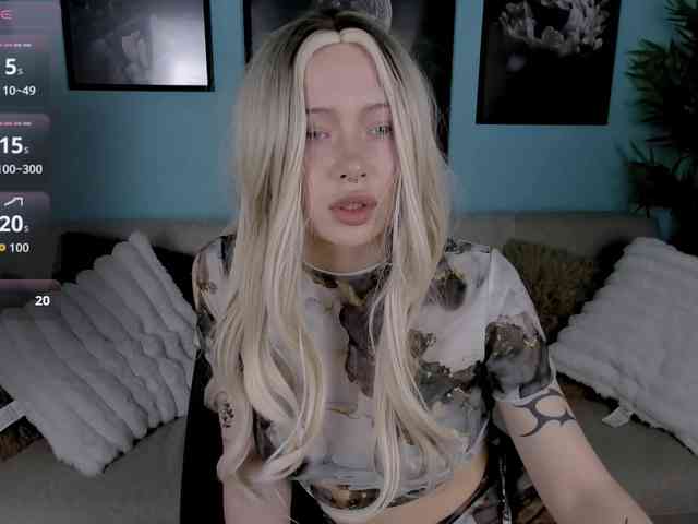 DragonFlya webcam