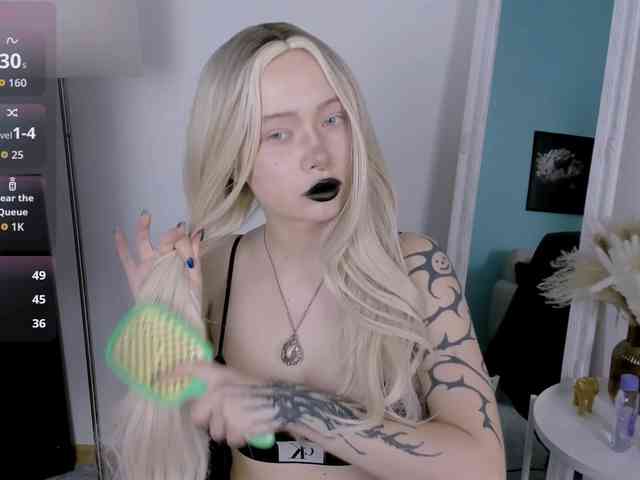 DragonFlya webcam