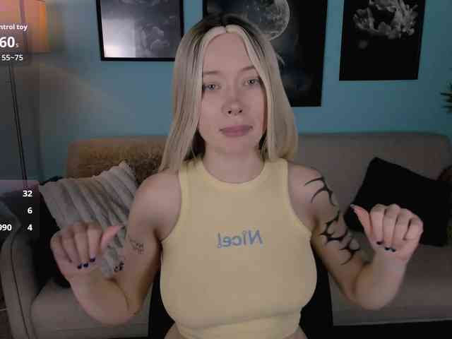 DragonFlya webcam