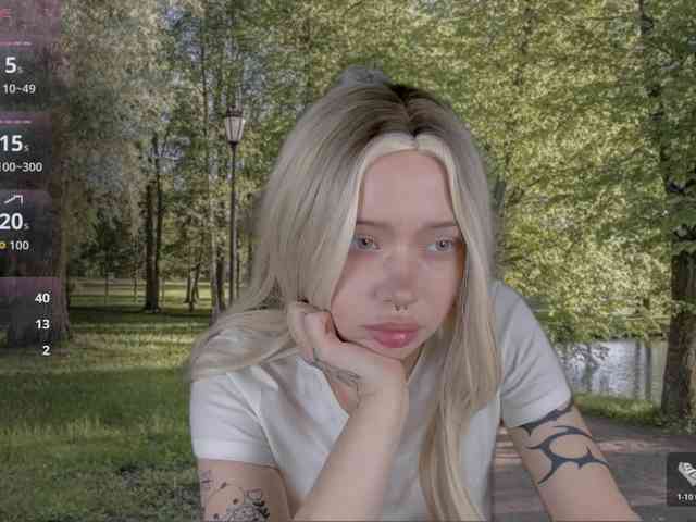 DragonFlya webcam