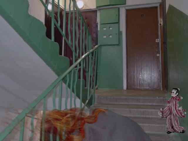 DragonFlya webcam