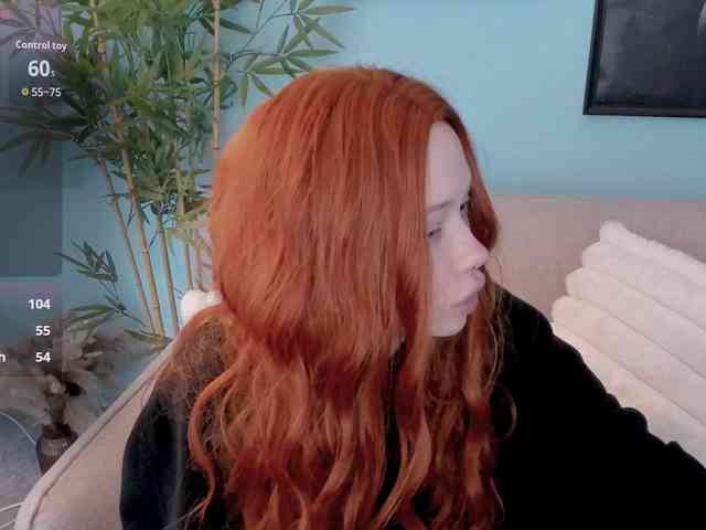 DragonFlya webcam