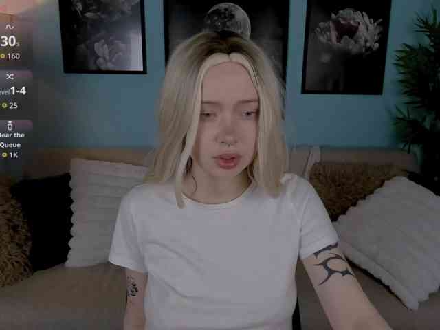 DragonFlya webcam