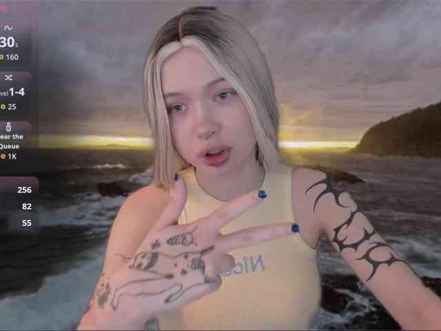 DragonFlya webcam
