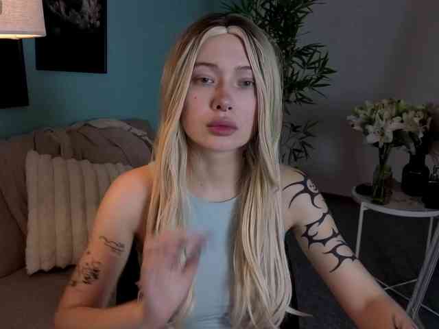 DragonFlya webcam