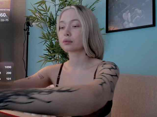 DragonFlya webcam