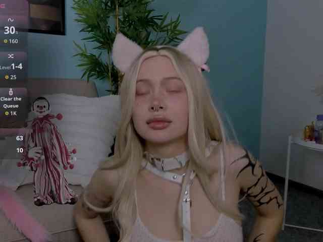 DragonFlya webcam