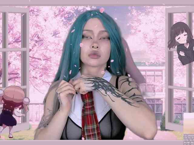 DragonFlya webcam