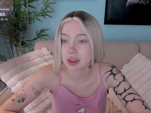 DragonFlya webcam