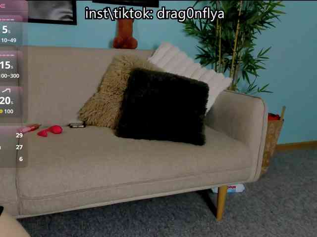 DragonFlya webcam