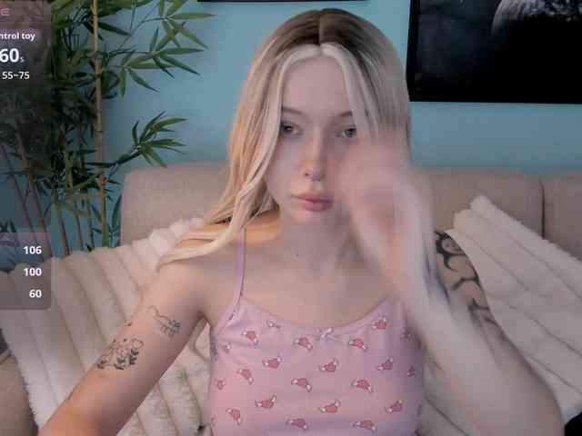 DragonFlya webcam