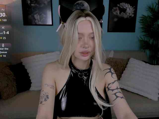 DragonFlya webcam