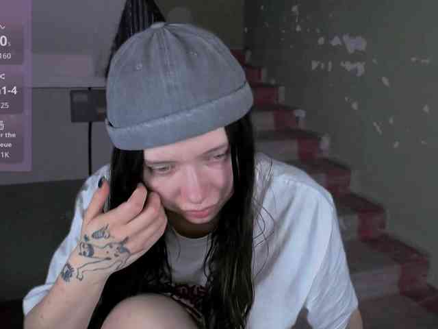 DragonFlya webcam