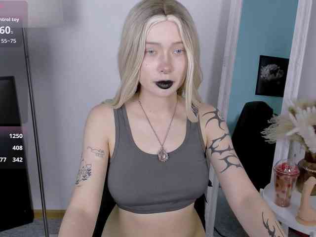 DragonFlya webcam