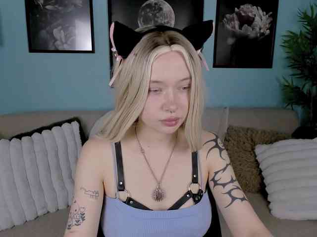 DragonFlya webcam