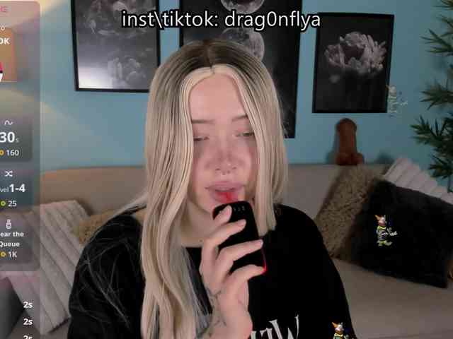 DragonFlya webcam