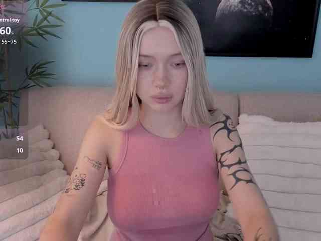 DragonFlya webcam