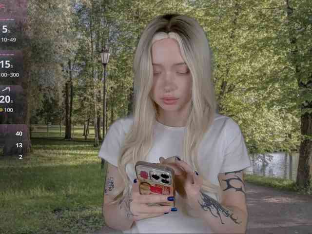 DragonFlya webcam