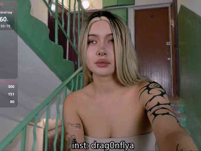 DragonFlya webcam