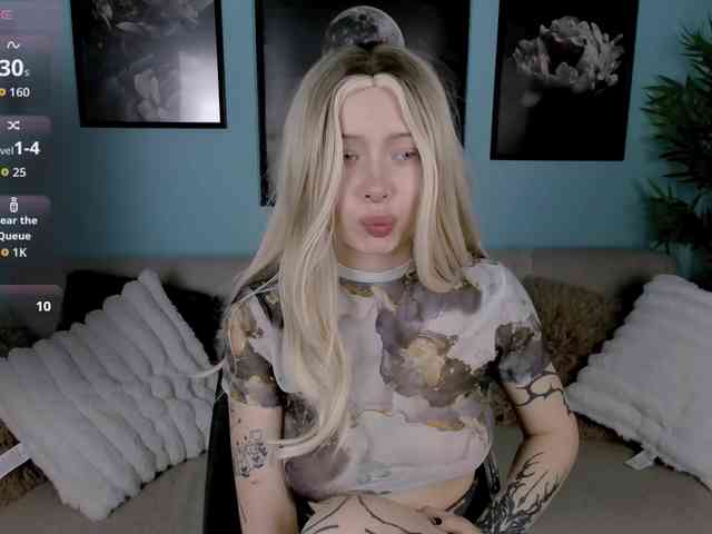 DragonFlya webcam