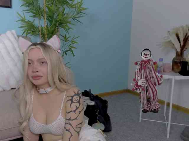 DragonFlya webcam