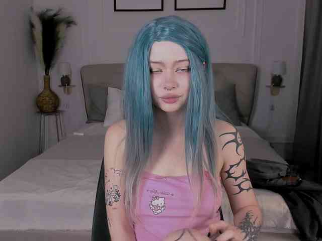 DragonFlya webcam