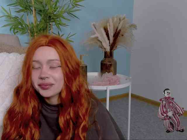 DragonFlya webcam
