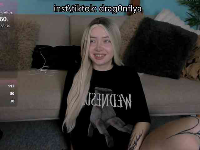 DragonFlya webcam