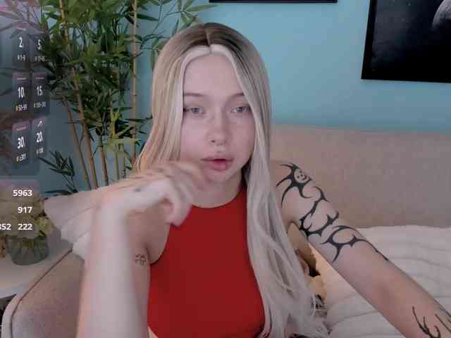 DragonFlya webcam