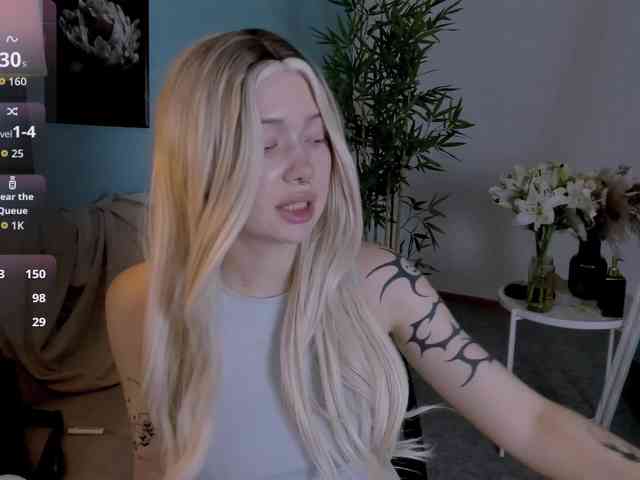 DragonFlya webcam