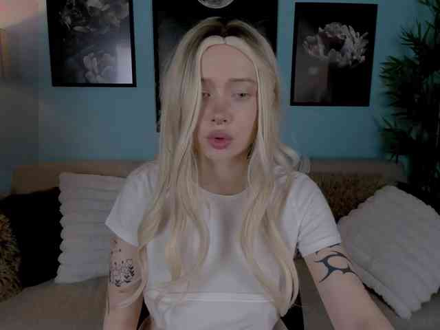 DragonFlya webcam