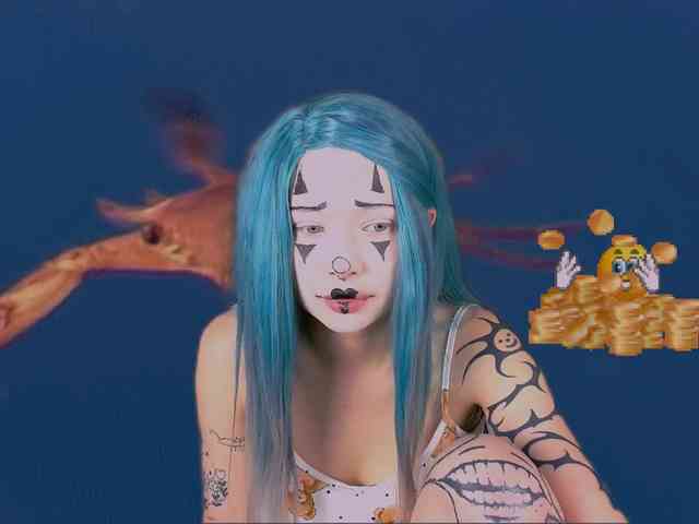 DragonFlya webcam