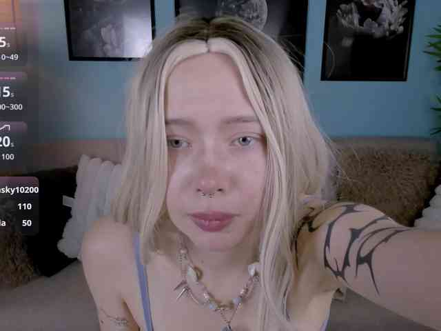 DragonFlya webcam