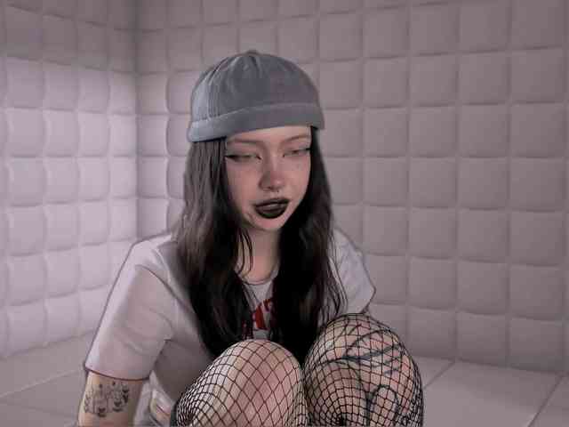 DragonFlya webcam