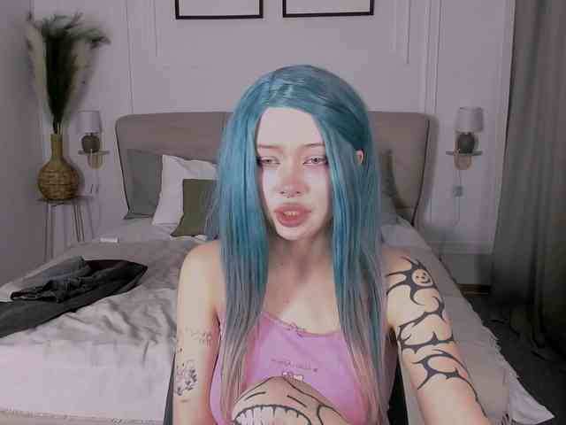 DragonFlya webcam