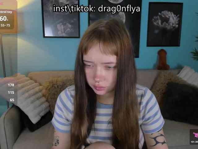DragonFlya webcam