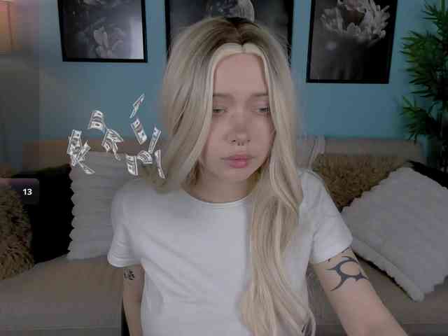 DragonFlya webcam