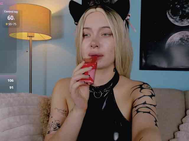DragonFlya webcam