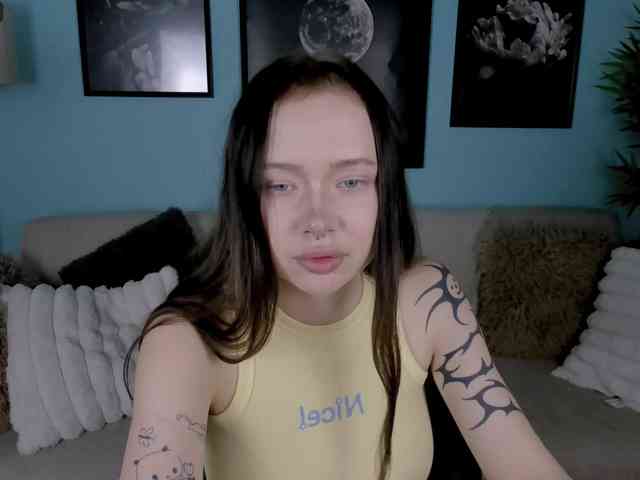 DragonFlya webcam