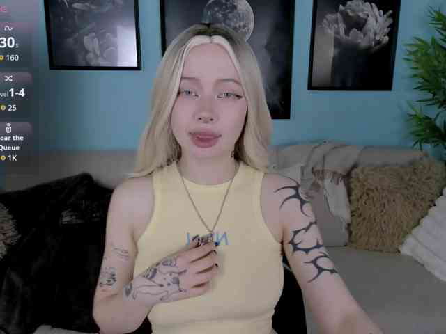 DragonFlya webcam