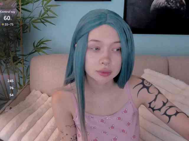 DragonFlya webcam