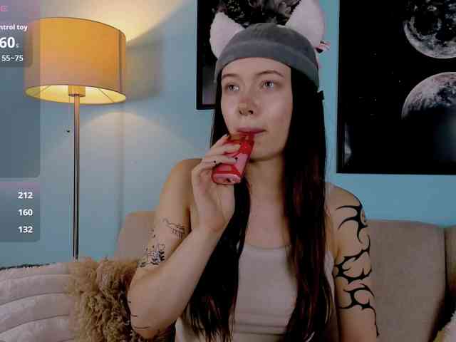DragonFlya webcam