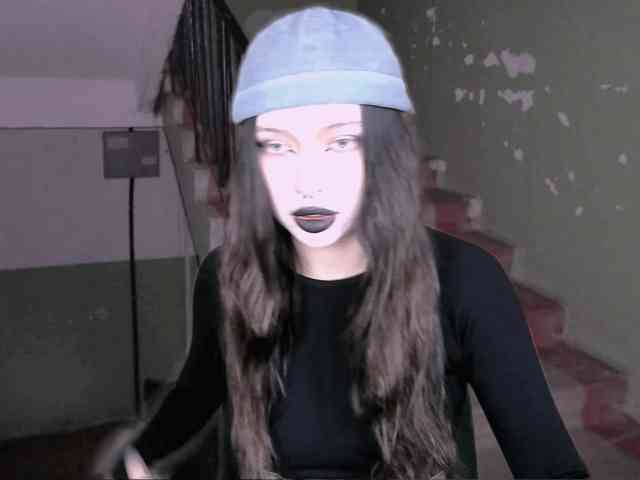 DragonFlya webcam