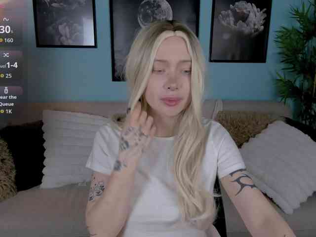 DragonFlya webcam