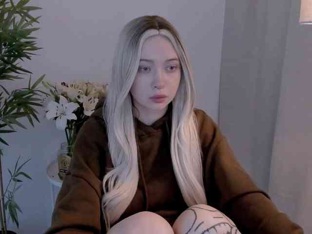 DragonFlya webcam