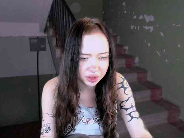 DragonFlya webcam