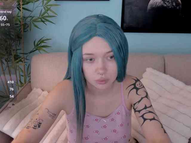 DragonFlya webcam