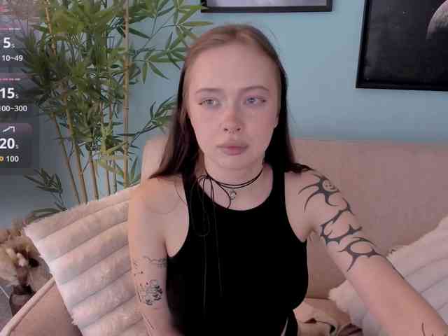 DragonFlya webcam